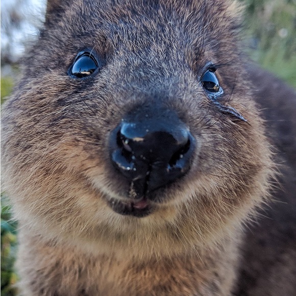 Meet your Posher, Rebekah - Picture 1 of 1